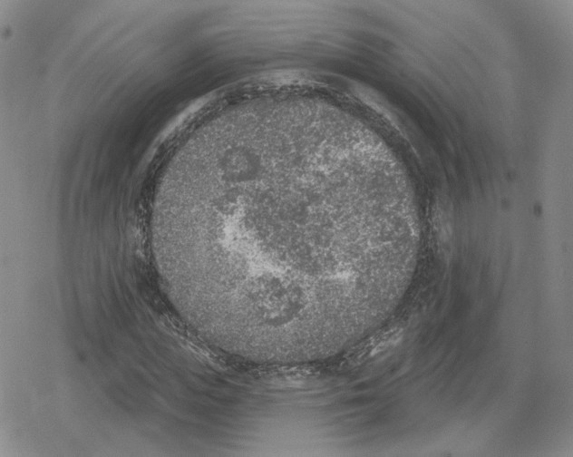 X0000079310823200612151750