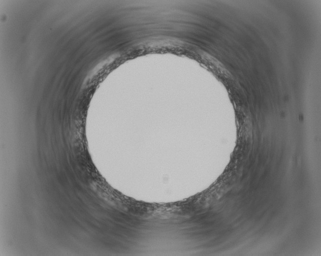 X0000079310824200612151750