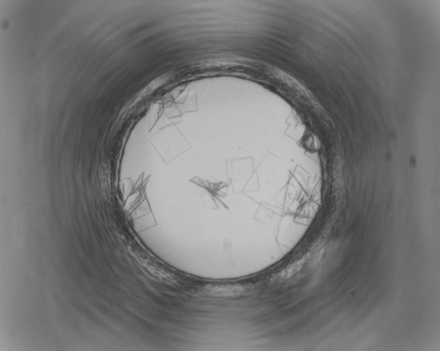 X0000079310825200612151750