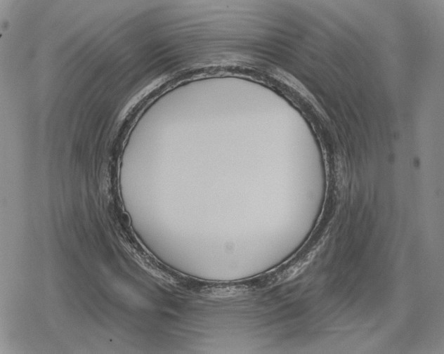 X0000079310826200612151750