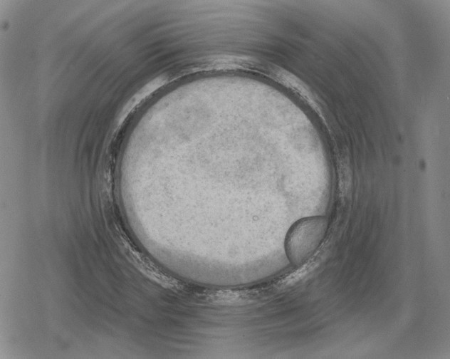 X0000079310827200612151750