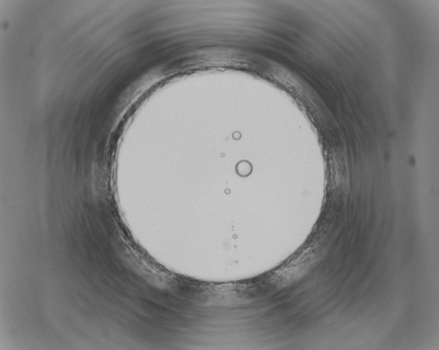 X0000079310828200612151750