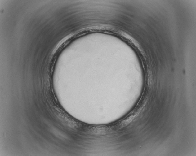 X0000079310829200612151750