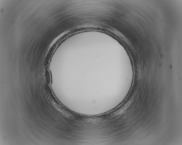 X0000079310830200612151750