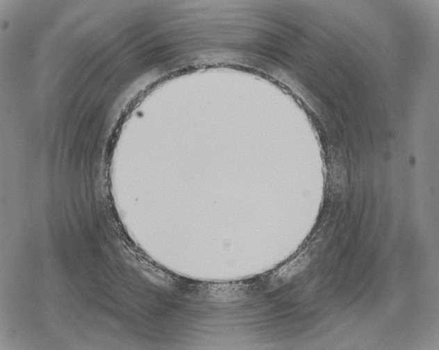 X0000079310832200612151750