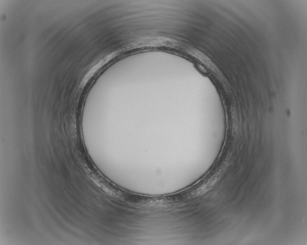 X0000079310834200612151750