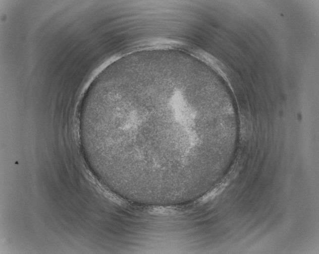 X0000079310835200612151750