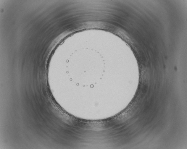 X0000079310836200612151750