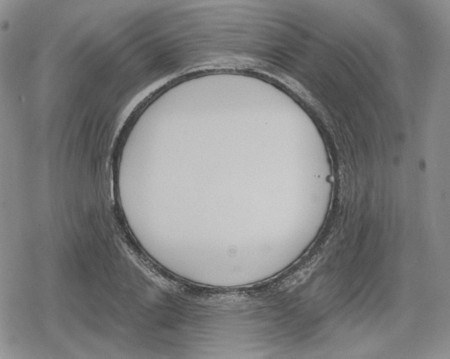 X0000079310838200612151750