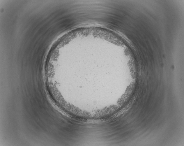 X0000079310840200612151750