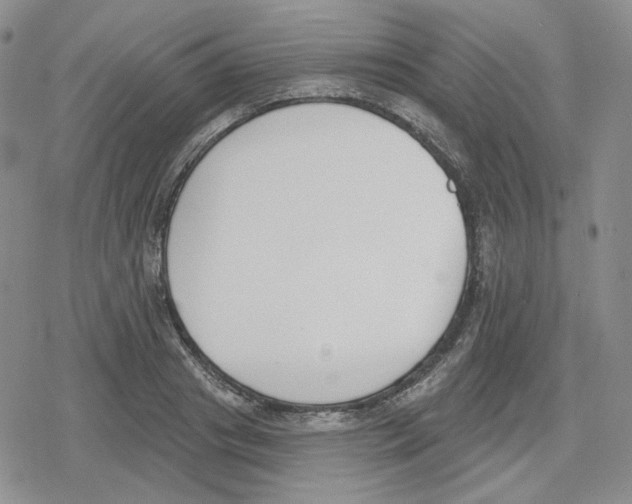 X0000079310841200612151750