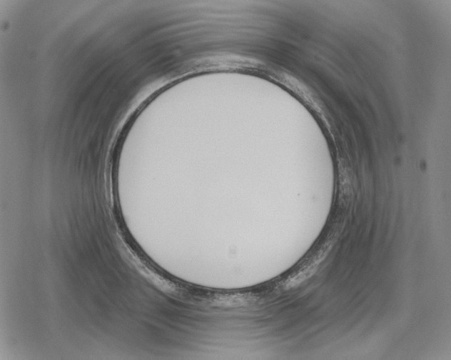 X0000079310843200612151750