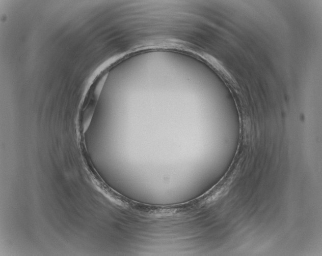 X0000079310846200612151750