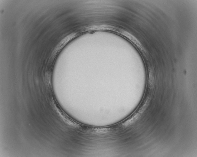 X0000079310849200612151750