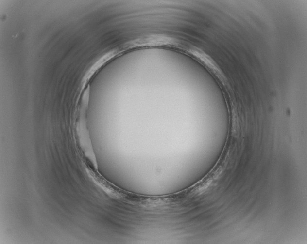 X0000079310850200612151750