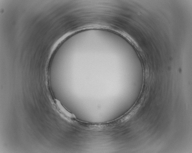 X0000079310854200612151750