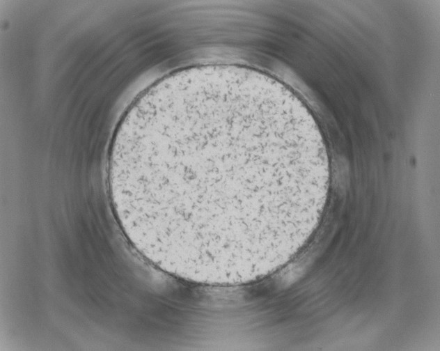 X0000079310856200612151750