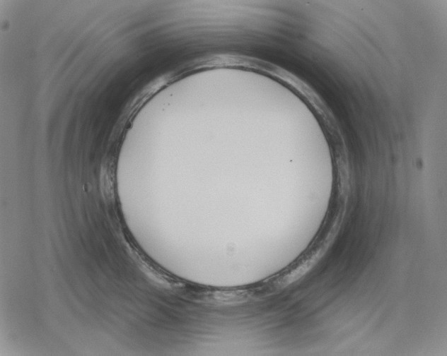 X0000079310857200612151750