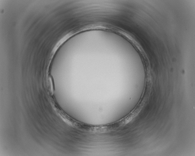 X0000079310858200612151750