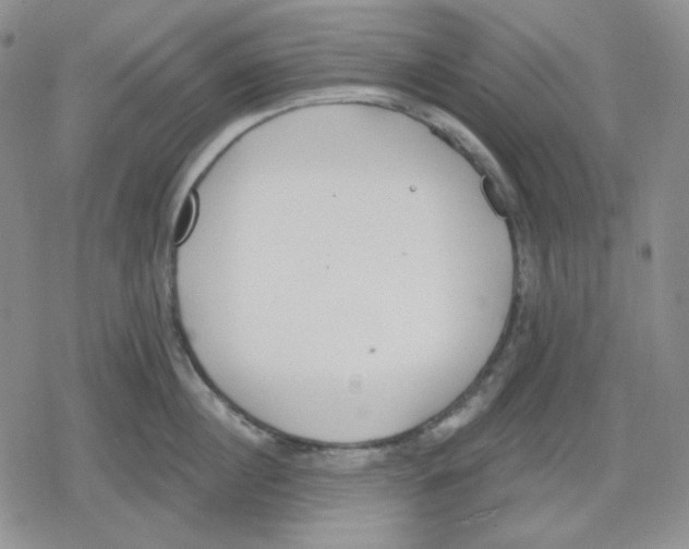 X0000079310860200612151750