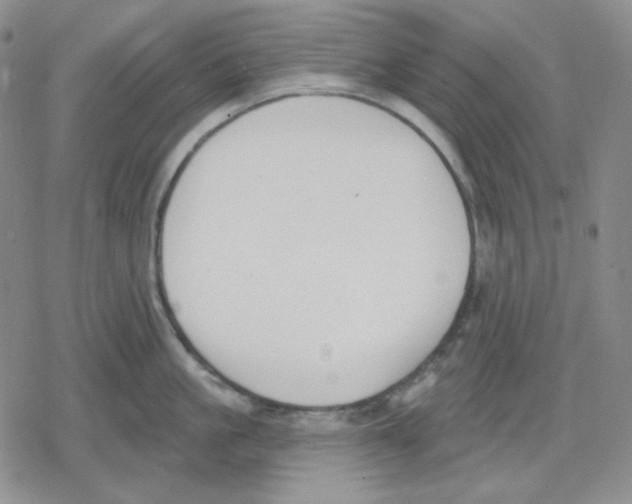 X0000079310861200612151750