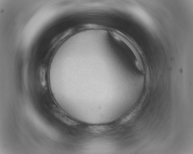 X0000079310862200612151750