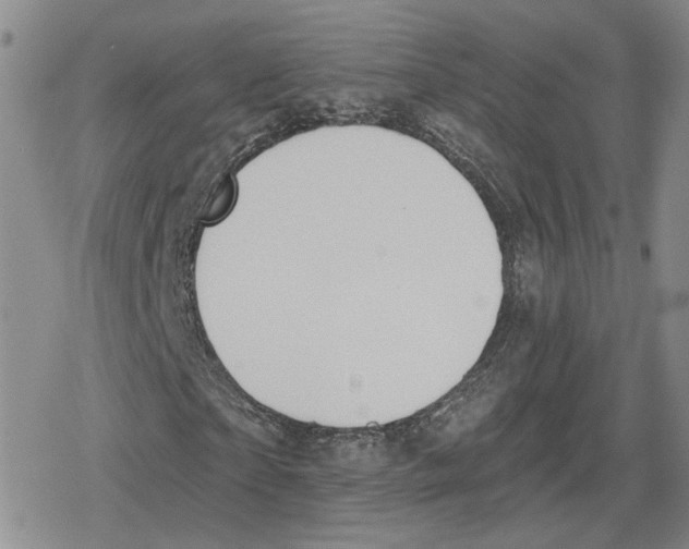 X0000079310865200612151750