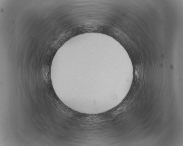 X0000079310867200612151750