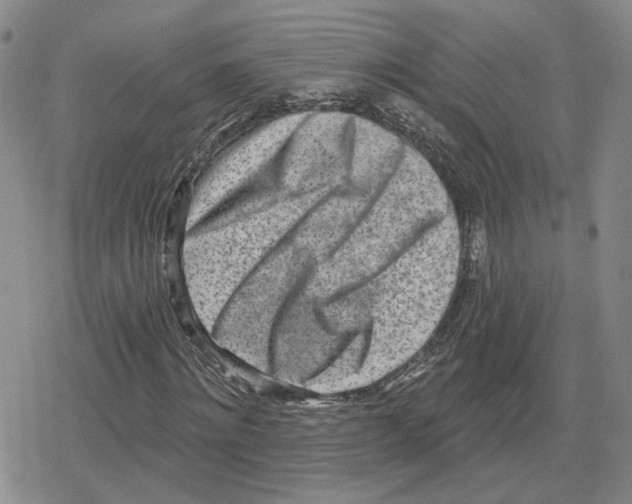 X0000079310868200612151750