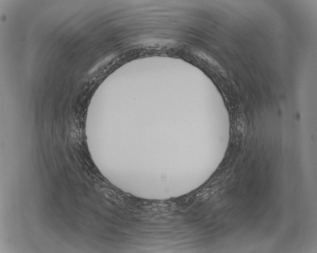 X0000079310869200612151750