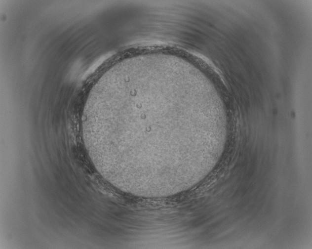 X0000079310871200612151749