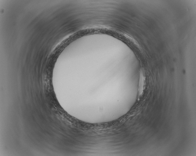 X0000079310872200612151749