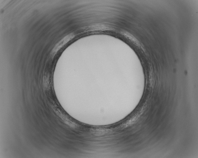 X0000079310873200612151749