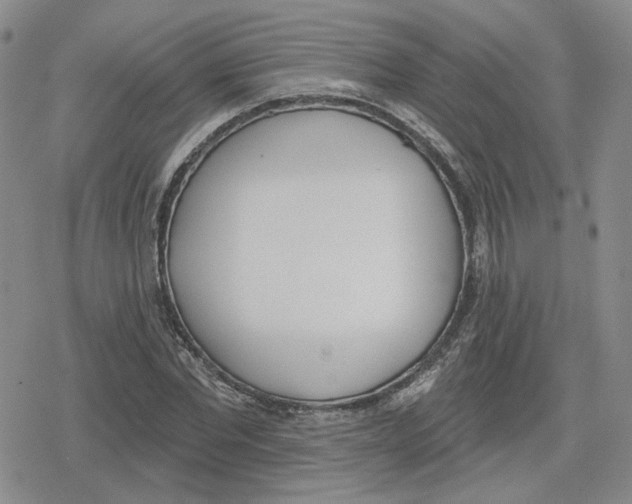 X0000079310877200612151749