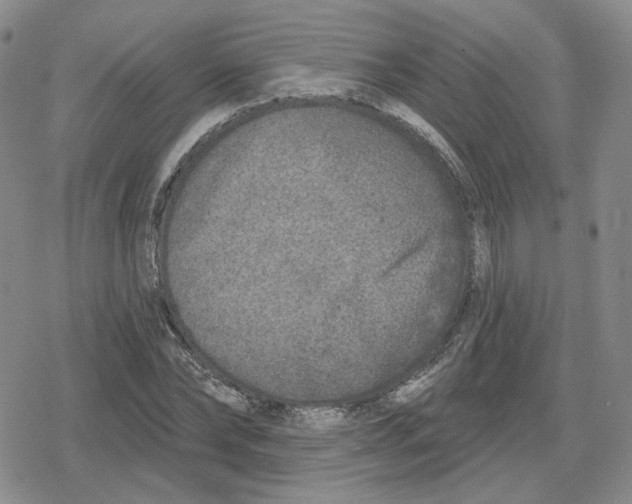 X0000079310878200612151749