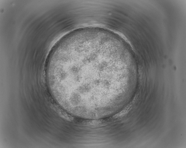 X0000079310879200612151749