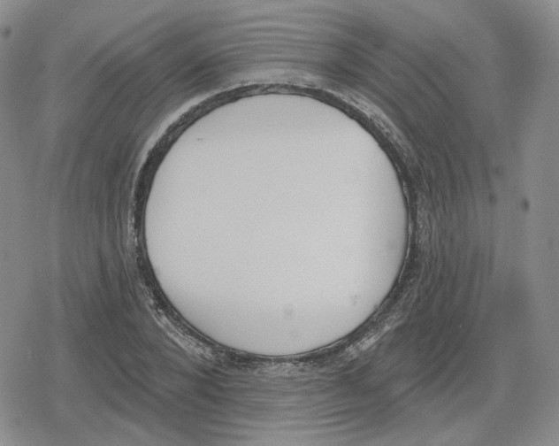 X0000079310880200612151749