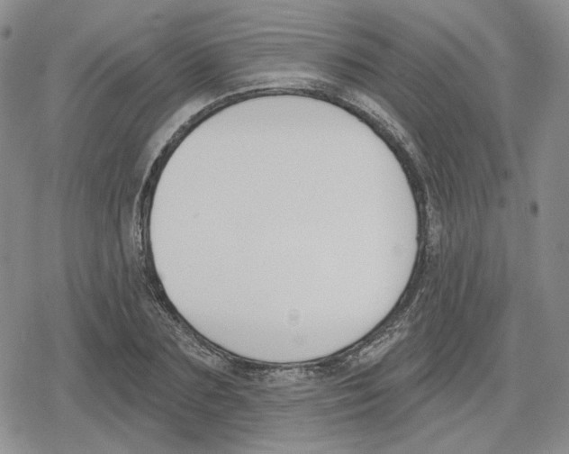 X0000079310883200612151749