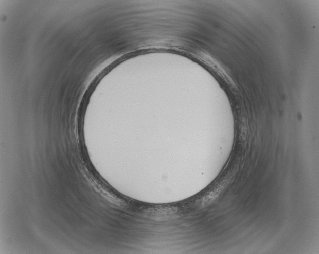 X0000079310884200612151749