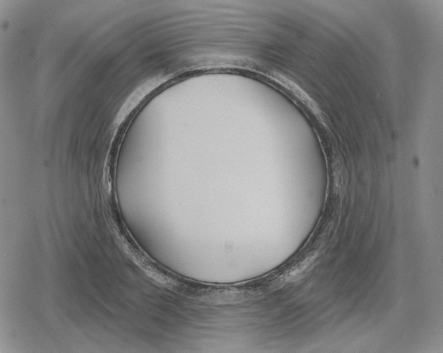 X0000079310885200612151749