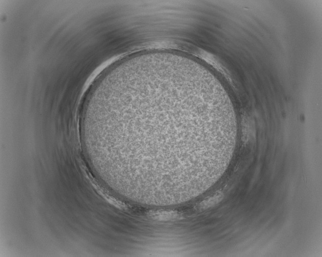 X0000079310886200612151749