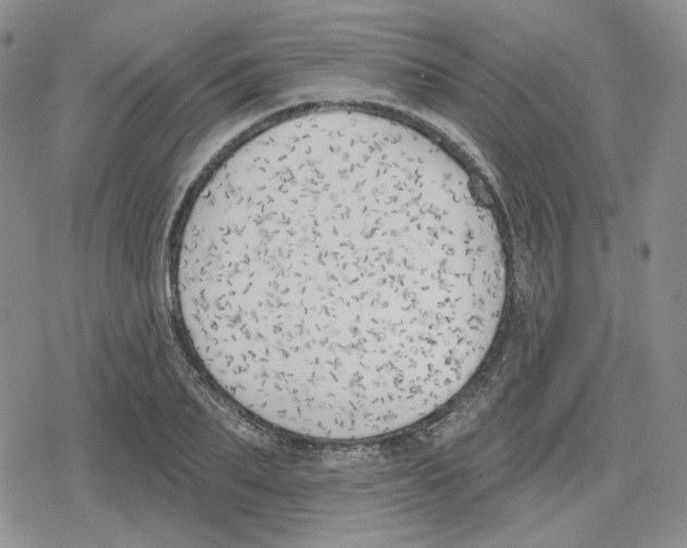 X0000079310887200612151749