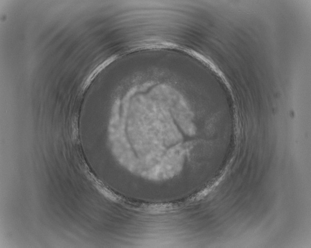 X0000079310889200612151749