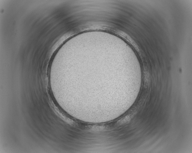 X0000079310890200612151749