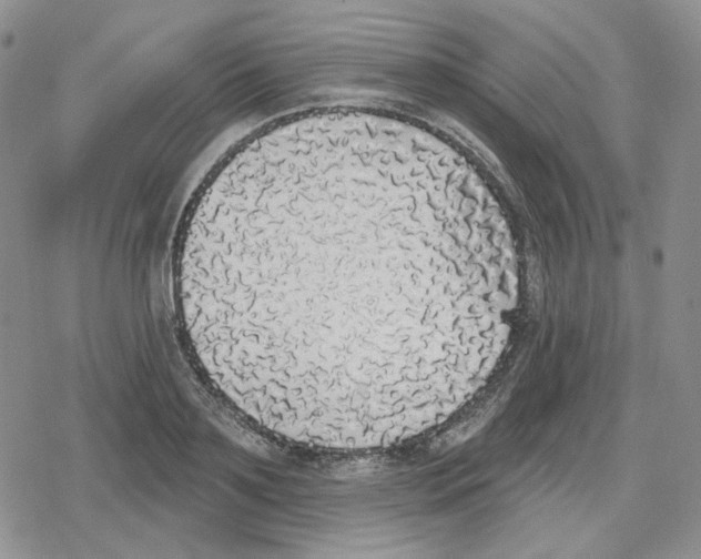 X0000079310891200612151749