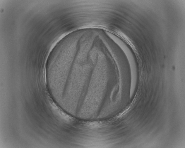 X0000079310892200612151749