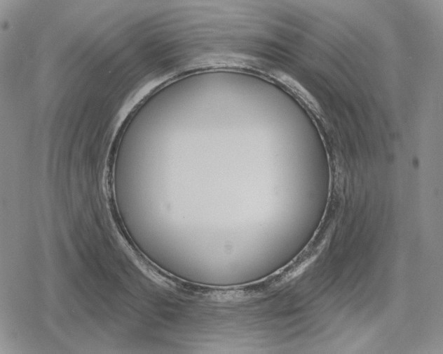 X0000079310893200612151749