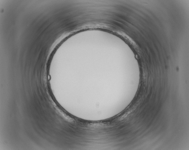 X0000079310894200612151749