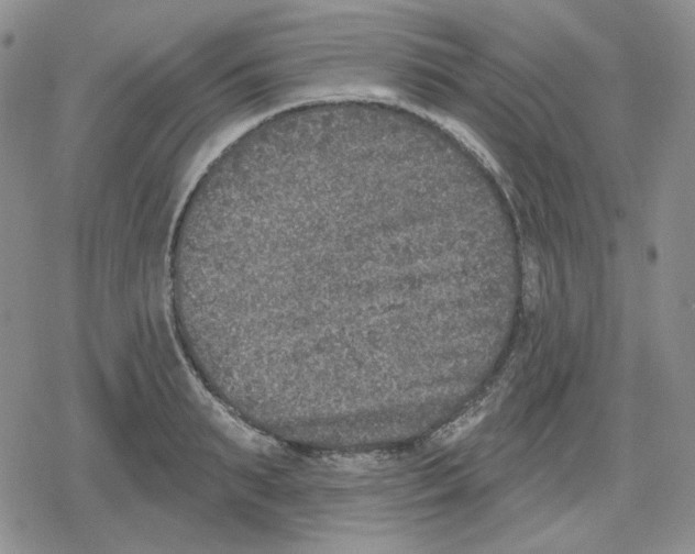 X0000079310895200612151749