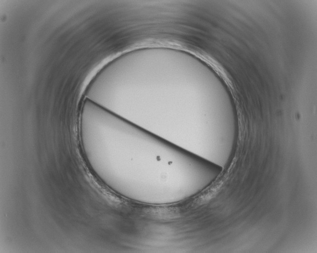 X0000079310896200612151749